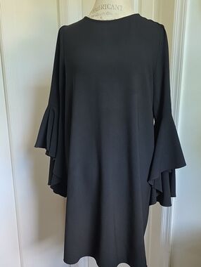 Zara-  Ruffle Sleeve Dress